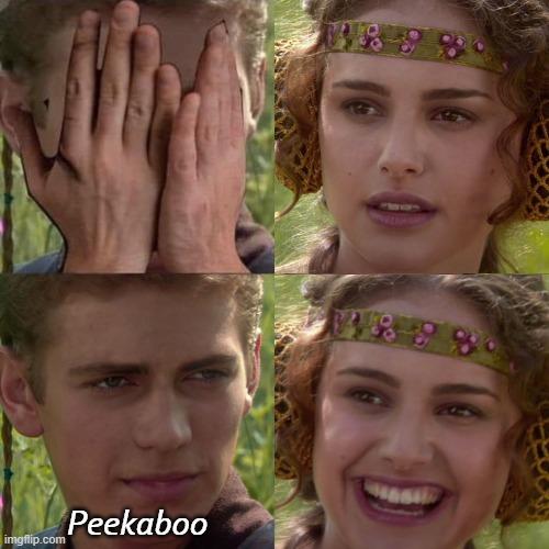Anakin Padme 4 Panel meme example 1