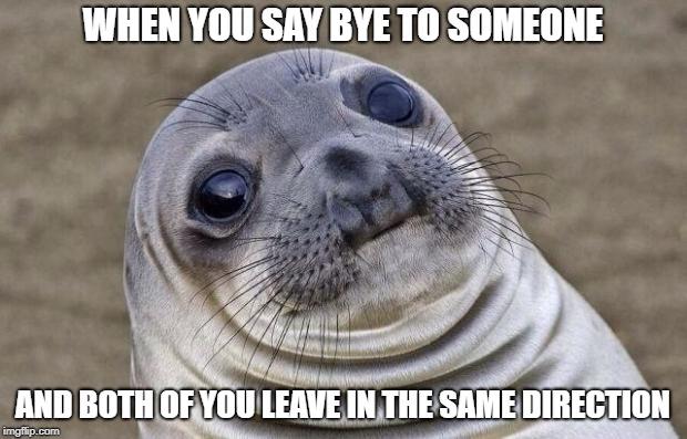 Awkward Moment Seal meme example 1