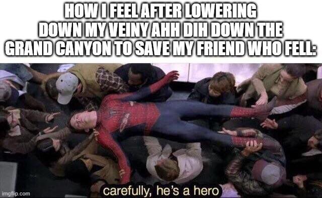Carefully He's a Hero meme example 3