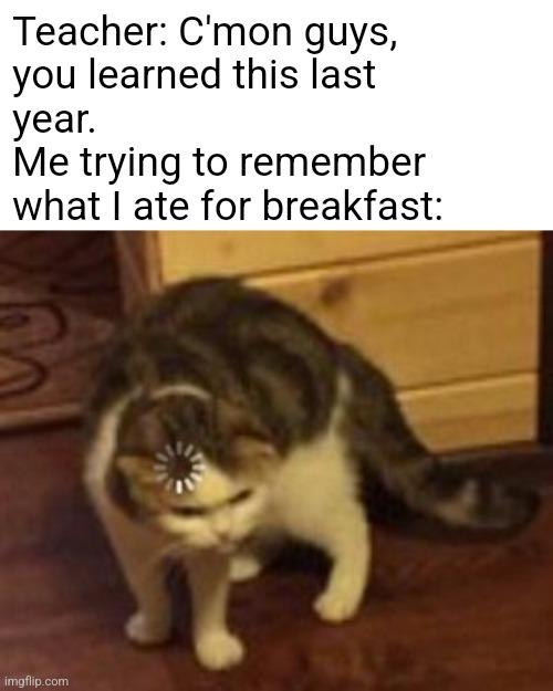Cat Loading meme example 1