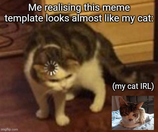 Cat Loading meme example 2