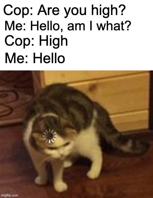 Cat Loading meme example 3