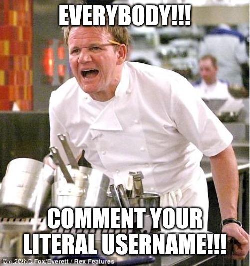 Chef Gordon Ramsay meme example 2