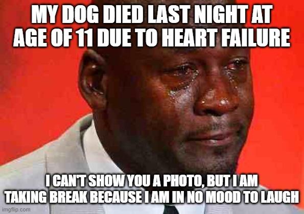 Crying Michael Jordan meme example 3