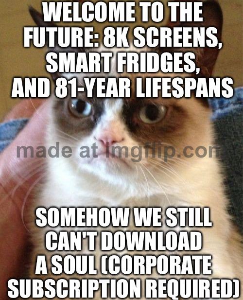 Grumpy Cat meme example 2