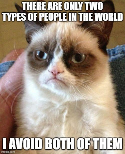 Grumpy Cat meme example 3