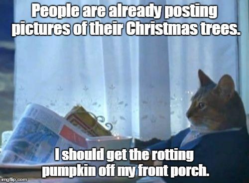 I Should Buy A Boat Cat meme example 1