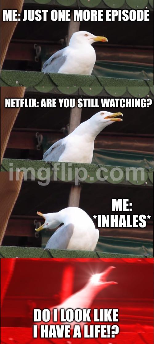 Inhaling Seagull meme example 3