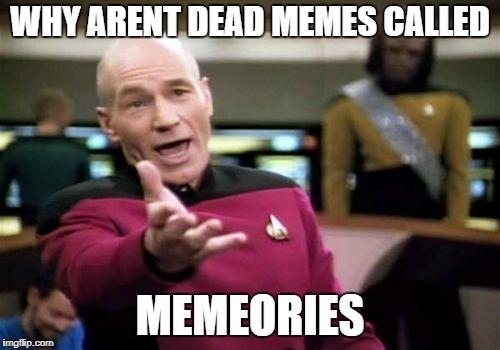 Picard WTF meme example 3