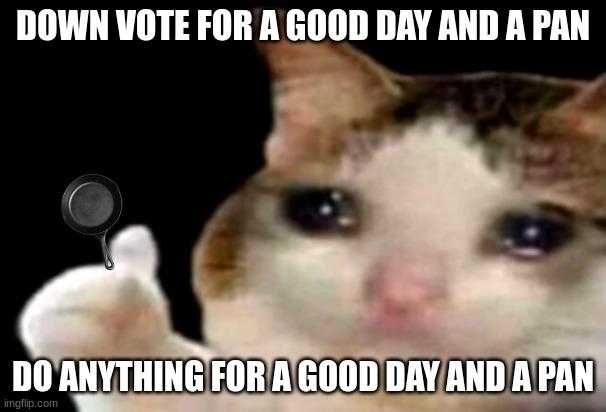 Sad Cat Thumbs Up meme example 3
