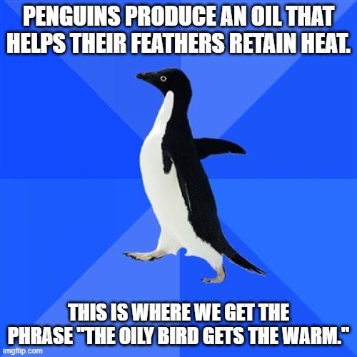 Socially Awkward Penguin meme example 2