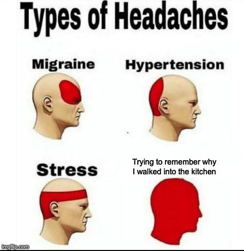Types of Headaches meme example 2