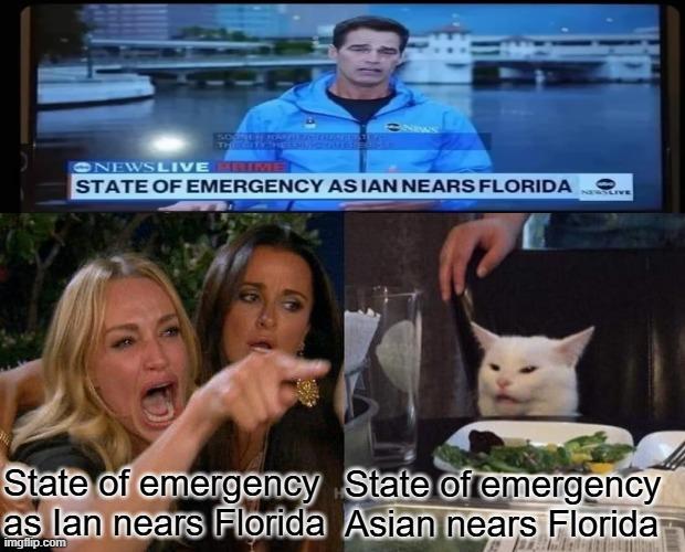 Woman Yelling at Cat meme example 2