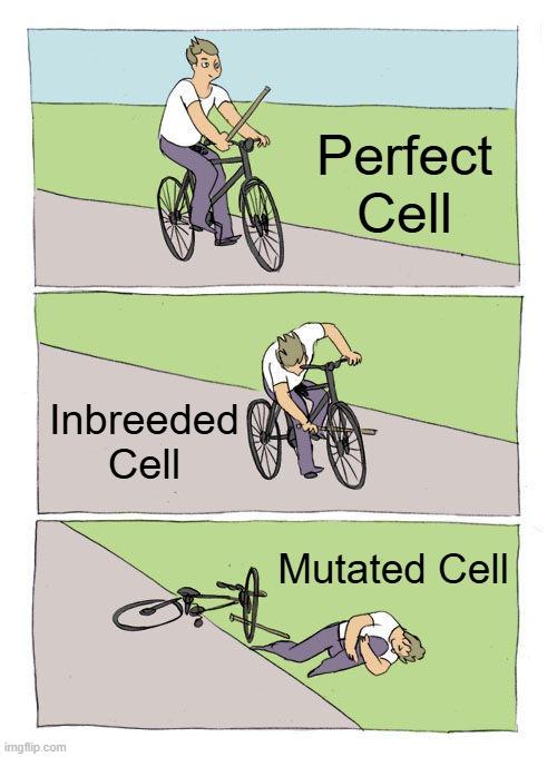 Bike Fall meme example 3