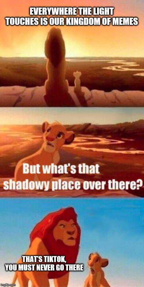 Simba Shadowy Place meme example 1