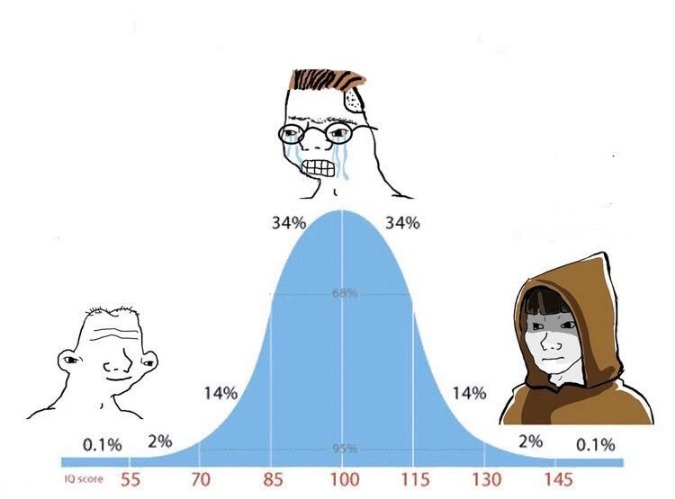 Bell Curve / Midwit