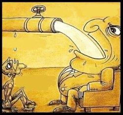 Fat Guy Drinking Water