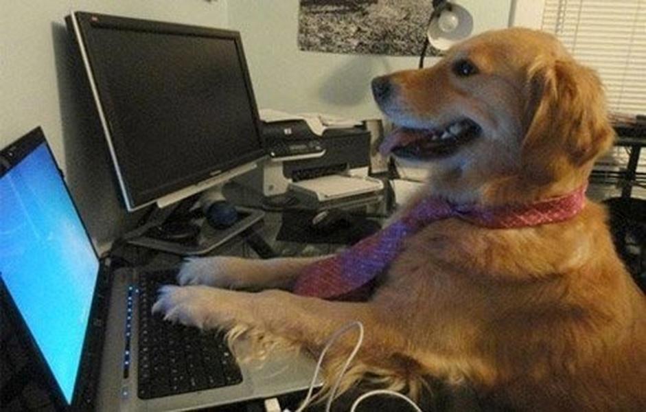 I Have No Idea What I'm Doing