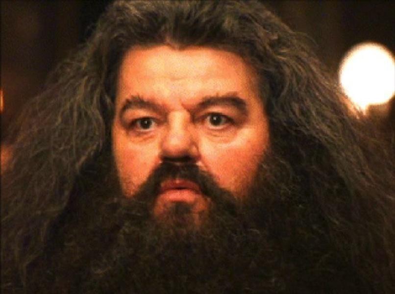 I Should Not Have Said That