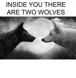 Inside You There Are Two Wolves