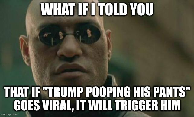If you search for "Trump Pooping His