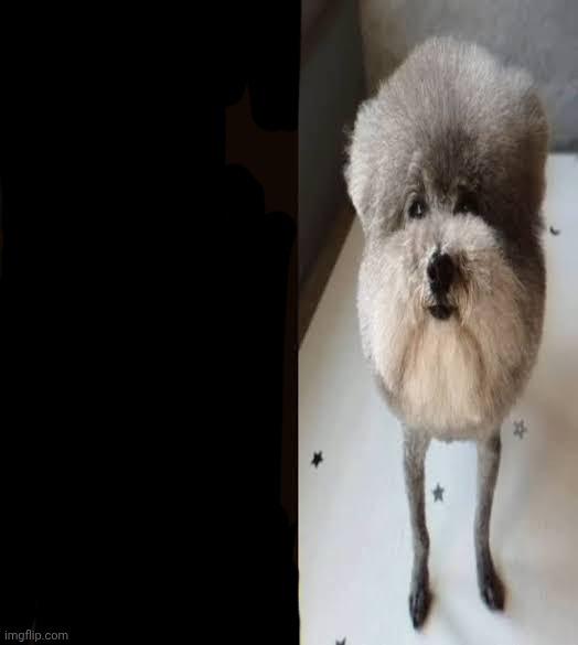 He Made a Statement Blank